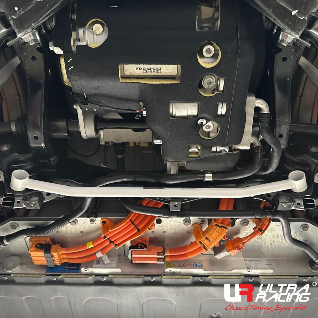 Rear lower (2points)