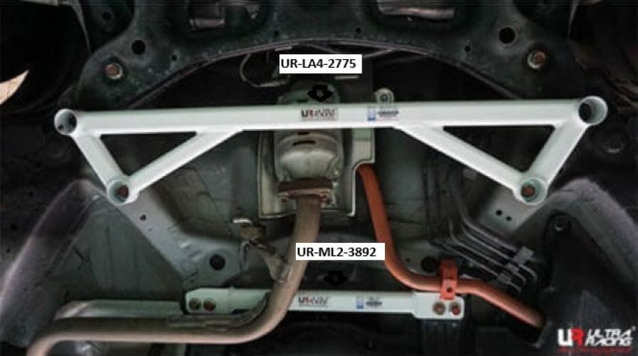 Middle lower (2points)